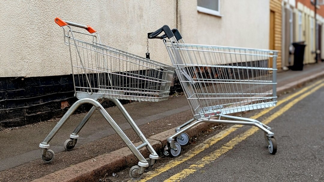 grocery shopping basket